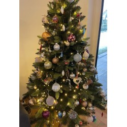 Itališka  Kalėdinė eglutė ( aukštis nuo 180cm iki 250cm)