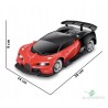 Nuotolinio valdymo automobilis su vairu
