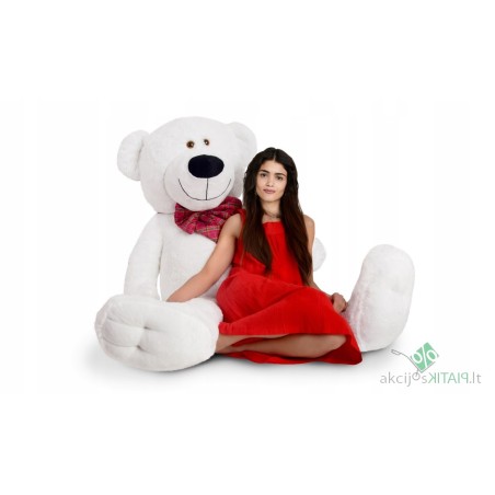 Didelis pliušinis meškiukas 180cm + širdelė